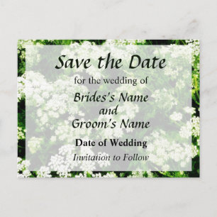 Carte Postale Faire-part Champ de la Reine Anne's Lace Enregistrer la Date