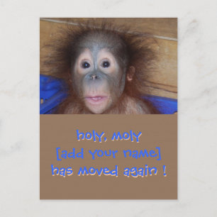 Carte Postale Faire-part Changement d'adresse - Nouvelle adresse