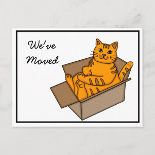 Carte Postale Faire-part Chat dans une boîte "We're Moving" Nouvelle adress
