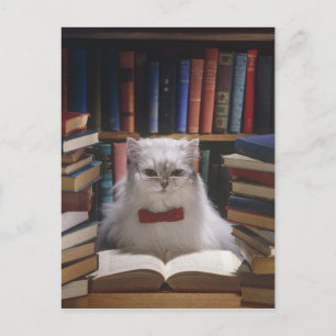 Carte Postale Faire-part Chat de graduation intelligent