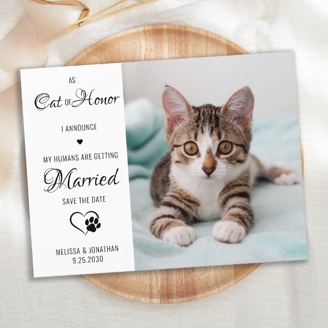 Carte Postale Faire-part Chat d'honneur Photo de mariage d'animaux Enregist (Créateur téléchargé)