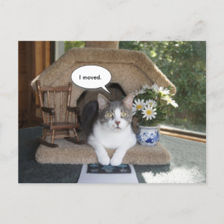 Carte Postale Faire-part Chat Drôle Déménagé Nouvelle Adresse