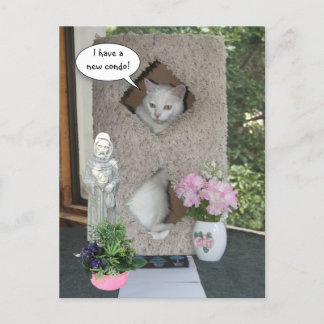 Carte Postale Faire-part Chat Drôle/ Je Déménage/Nouvelle Adresse