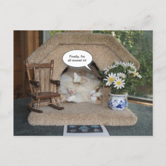 Carte Postale Faire-part Chat Drôle Nouvelle Adresse Déménagé