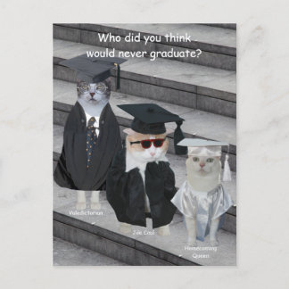 Carte Postale Faire-part Chat Funny Personnalisable / Diplômés Kitty