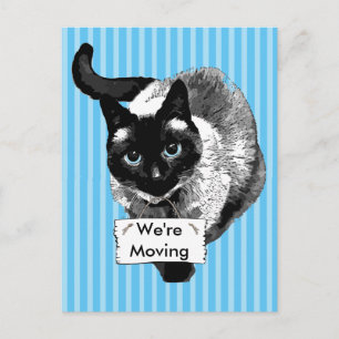 Carte Postale Faire-part Chat Siamese bleu teint tenant "Nous sommes en tra