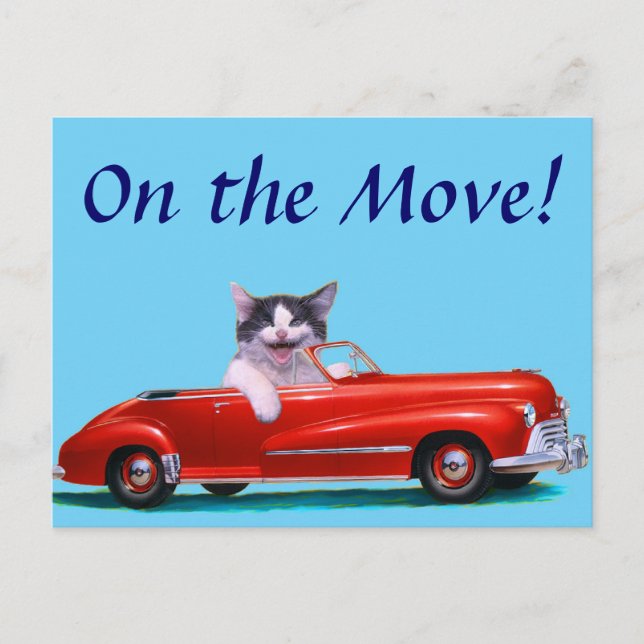 Carte Postale Faire-part Chaton dans une décapotable rouge (Devant)