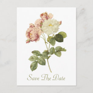 Carte Postale Faire-part Chic Mariage Rose Vintage Enregistrer La Date