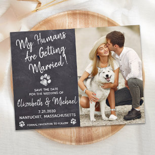 Carte Postale Faire-part Chien Mariage Rustique Chien Enregistrer La Date