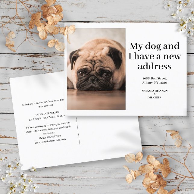 Carte Postale Faire-part Chien Photo de compagnie Nouvelle Adresse Je viens (Dog Pet Photo New Address I've Moved Modern Announcement Postcard)