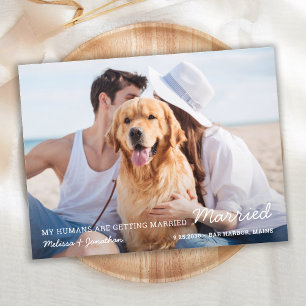 Carte Postale Faire-part Chien simple Mariage pour animaux de compagnie Enr