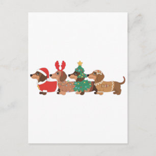 Carte Postale Faire-part Chien teckel portant des amoureux de chien de Noël