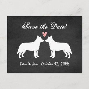 Carte Postale Faire-part Chiens de bétail australiens Mariage Enregistrer l