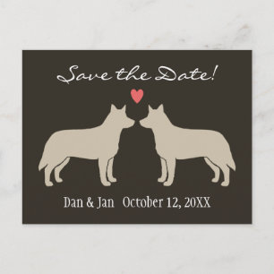 Carte Postale Faire-part Chiens de Bétail Australiens Mariage Enregistrer l