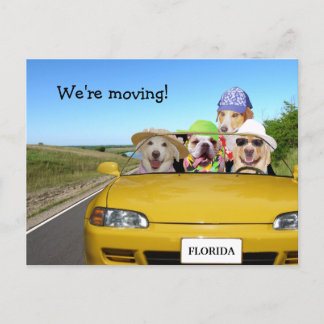 Carte Postale Faire-part Chiens drôles personnalisables que nous nous