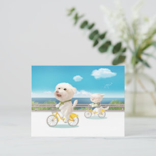 Carte Postale Faire-part Chiens et chats Vélo en mer