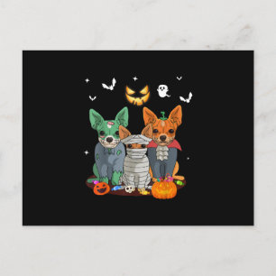 Carte Postale Faire-part Chihuahua de Halloween Chien Sorcière Cadeau Migno