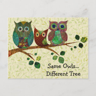 Carte Postale Faire-part Chouettes Fantaisistes Mignonnes Changement d'Adre