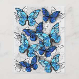 Carte Postale Faire-part Composition de papillons blancs et bleus