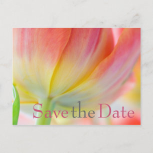 Carte Postale Faire-part Couleurs de la Tulipe de printemps Enregistrer la