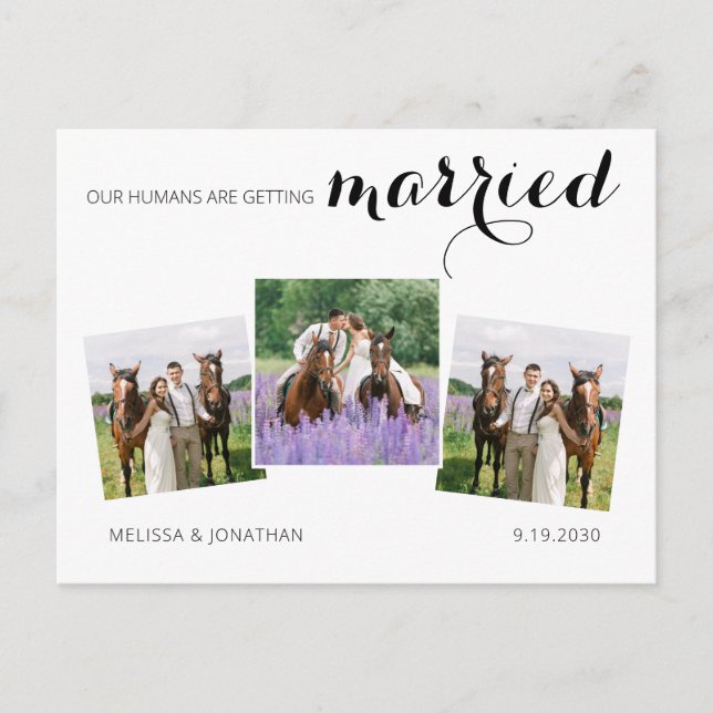 Carte Postale Faire-part Custom 3 Photo Horse Mariage d'animaux de compagni (Devant)