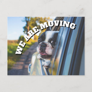 Carte Postale Faire-part Cute Boxer Dog in Car Change Adresse