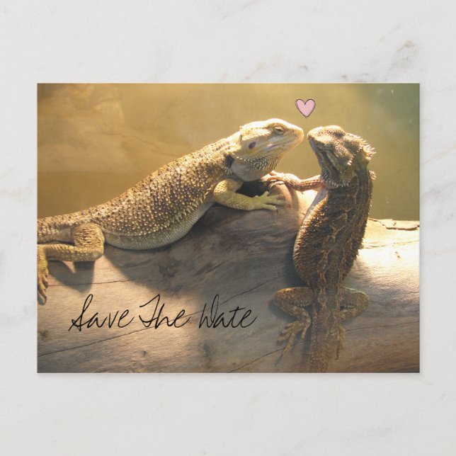 Carte Postale Faire-part Cute Kissing Lizards Mariage Enregistrer La Date (Devant)