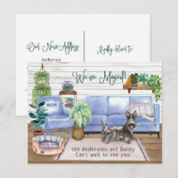Cute Scottish Terrier Cosy New Home Moving
