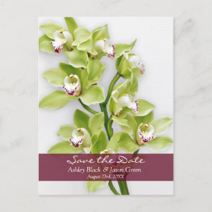 Carte Postale Faire-part Cymbidium vert mariage orchidée Enregistrer la dat