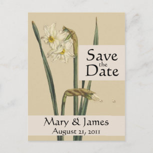 Carte Postale Faire-part Daffodile vintage Botaniques Enregistrer la date C
