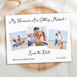 Carte Postale Faire-part Date Personnalisée Moderne avec Photo de 3 Chiens 