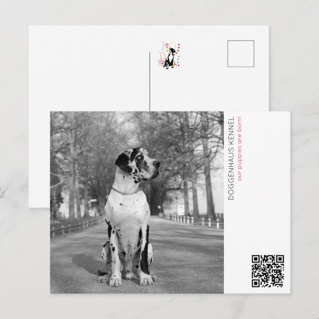 Carte Postale Faire-part de chiot (Devant / Derrière)