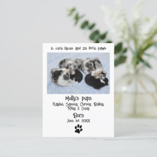 Carte Postale Faire-part de naissance de chiot mignon