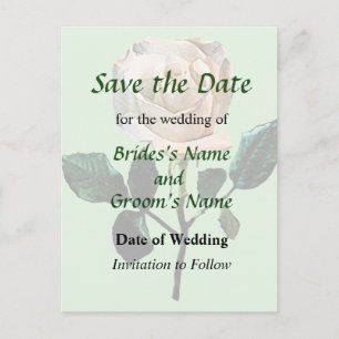 Carte Postale Faire-part Délicat Rose blanche Enregistrer la date