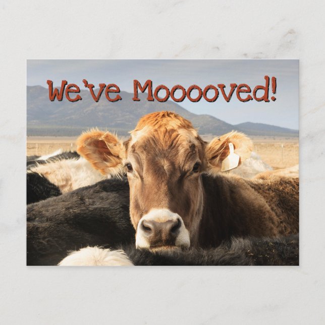 Carte Postale Faire-part Déménagement (Devant)