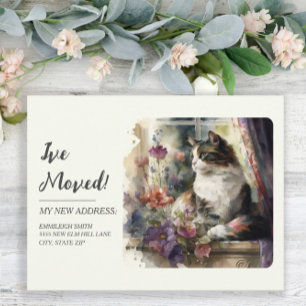 Carte Postale Faire-part Déplacement Fenêtre de chat Fleurs viol