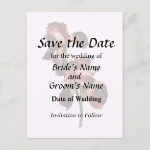 Carte Postale Faire-part Deux iris marron et jaune