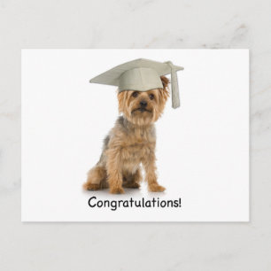 Carte Postale Faire-part Diplôme Yorkie Félicitations Yorkie
