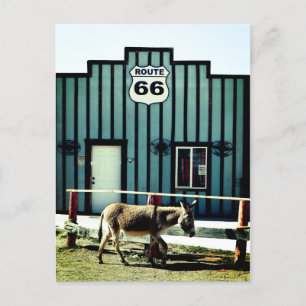 Carte Postale Faire-part Donkey Town Oatman Arizona