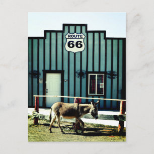 Carte Postale Faire-part Donkey Town Oatman Arizona