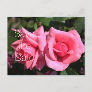 Carte Postale Faire-part Double rose rose chaud fleurs mariage enregistrer