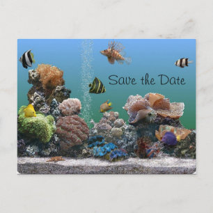 Carte Postale Faire-part économies d'aquarium la date
