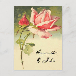 Carte Postale Faire-part Économies de rose de cru la date