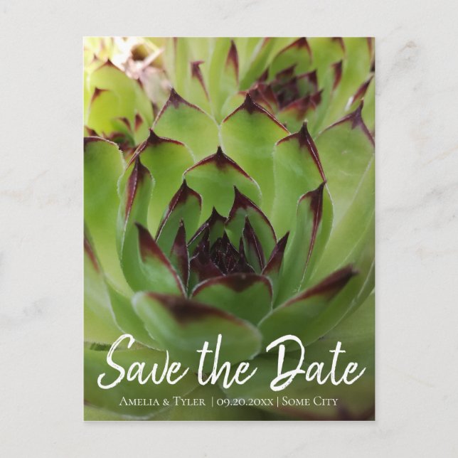 Carte Postale Faire-part Écriture Moderne de Succulente Verte Save the Date (Devant)
