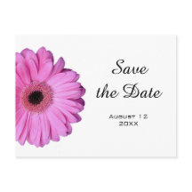 Élégant romantique rose Gerbera Daisy