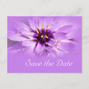 Carte Postale Faire-part Élégante fleur marguerite violette enregistrer la