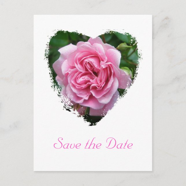 Carte Postale Faire-part Éléments de coordination Rose Escalade (Devant)