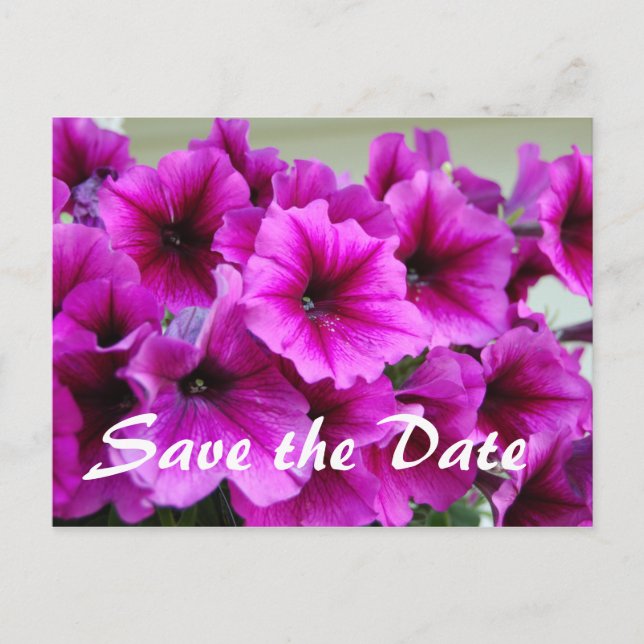 Carte Postale Faire-part Enregistrer la date (Devant)