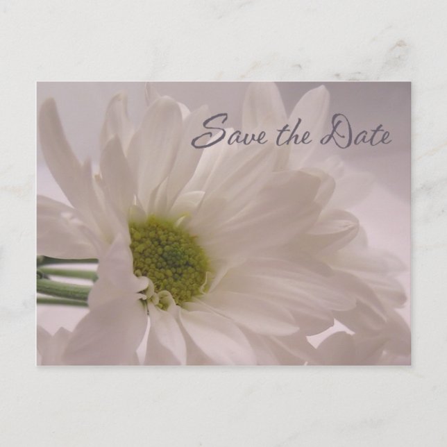 Carte Postale Faire-part Enregistrer la date - Blancs (Devant)