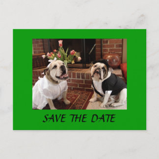 Carte Postale Faire-part ENREGISTRER LA DATE Bulldogs